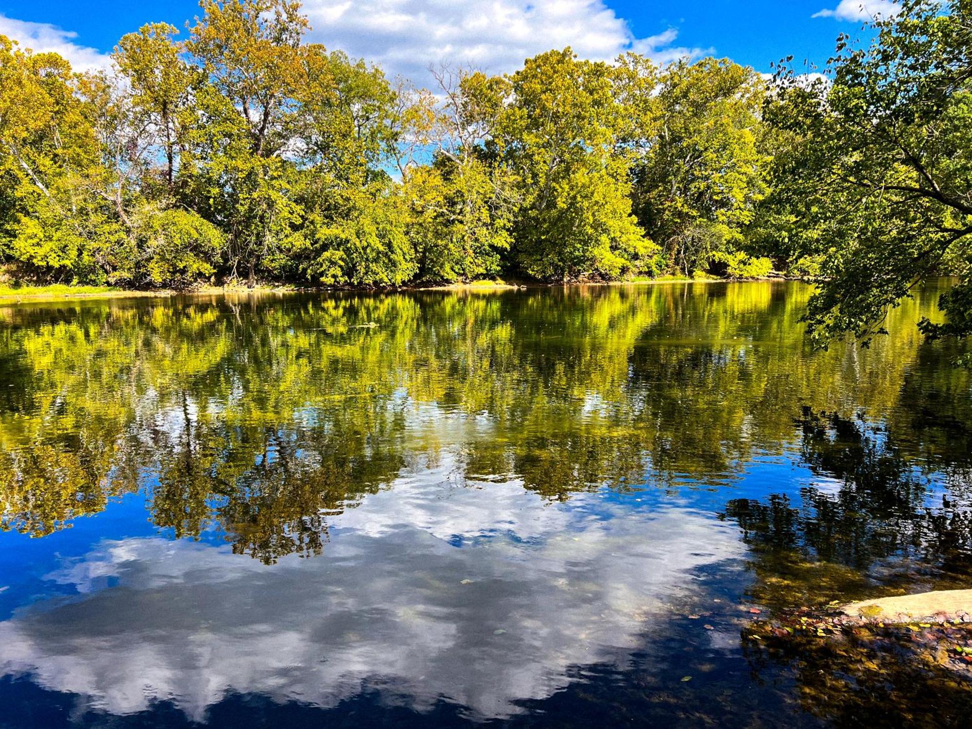 Luray Rv Resort On Shenandoah River Екстер'єр фото